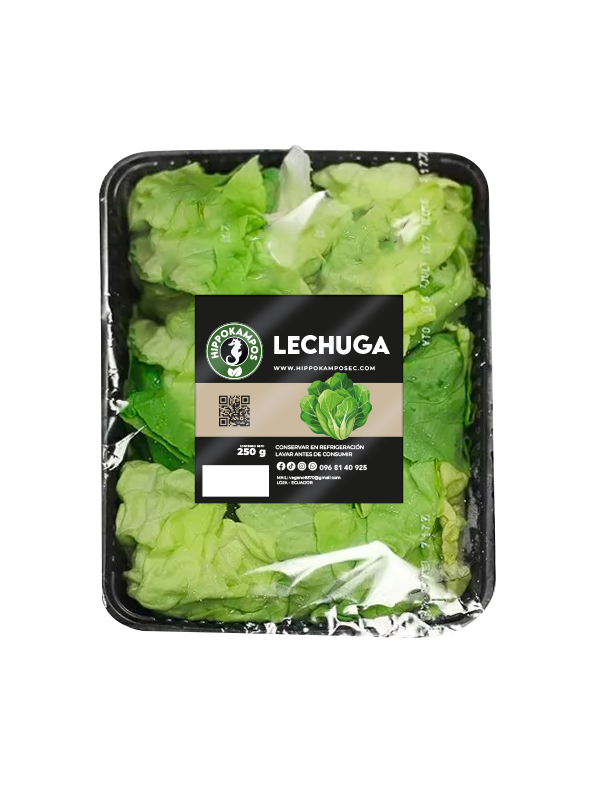 Lechuga